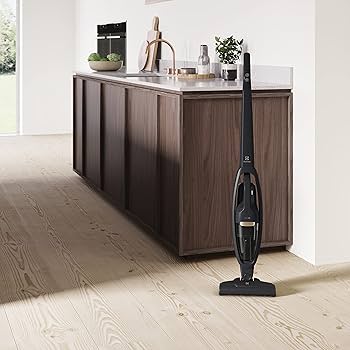 Electrolux WQ61-10GG Cordless Vacuum Cleaner,Granite Grey